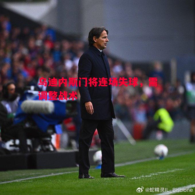 乌迪内斯门将连场失球，需调整战术
