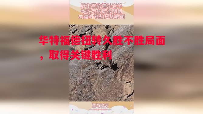 华特福德扭转久胜不胜局面,取得关键胜利 华特福德扭转久胜不胜局面,取得关键胜利