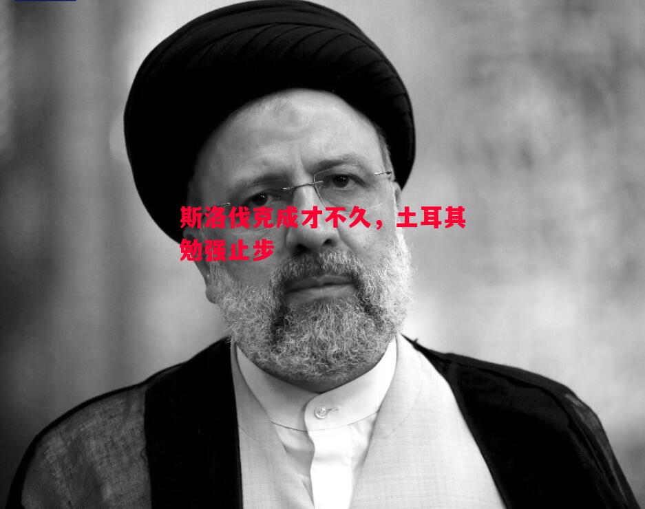 斯洛伐克成才不久,土耳其勉强止步 斯洛伐克成才不久,土耳其勉强止步