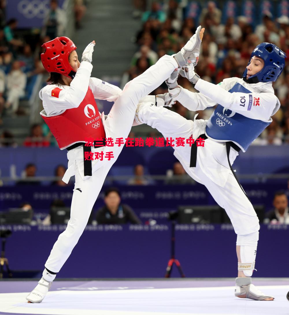 FB体育官网-波兰选手在跆拳道比赛中击败对手