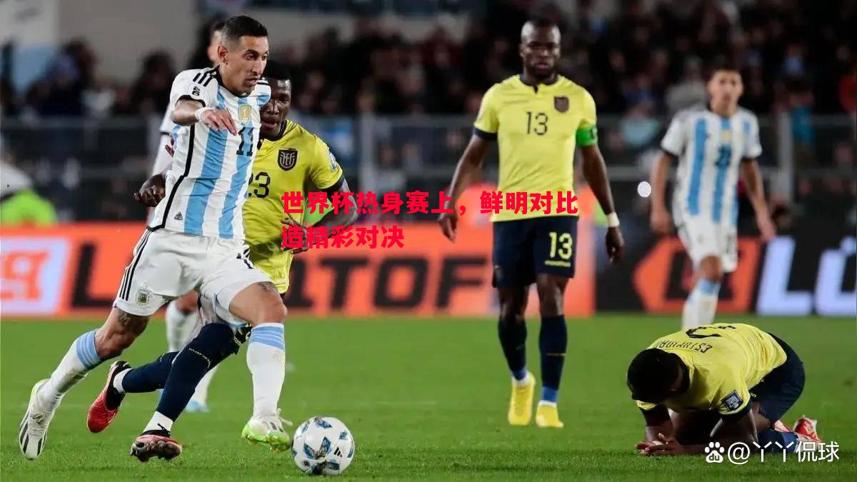 世界杯热身赛上,鲜明对比造精彩对决 世界杯热身赛上,鲜明对比造精彩对决