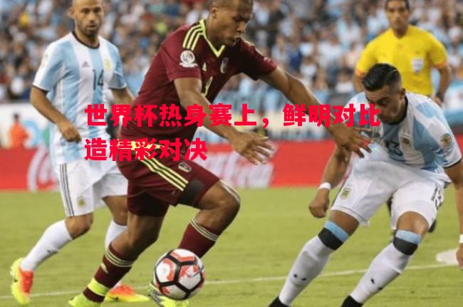 世界杯热身赛上,鲜明对比造精彩对决 世界杯热身赛上,鲜明对比造精彩对决