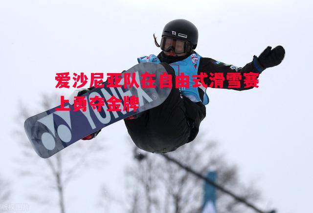 FB体育官网-爱沙尼亚队在自由式滑雪赛上勇夺金牌